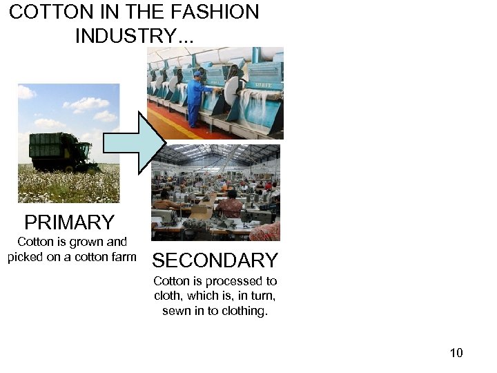 COTTON IN THE FASHION INDUSTRY. . . PRIMARY Cotton is grown and picked on