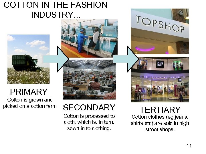 COTTON IN THE FASHION INDUSTRY. . . PRIMARY Cotton is grown and picked on