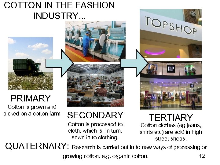 COTTON IN THE FASHION INDUSTRY. . . PRIMARY Cotton is grown and picked on