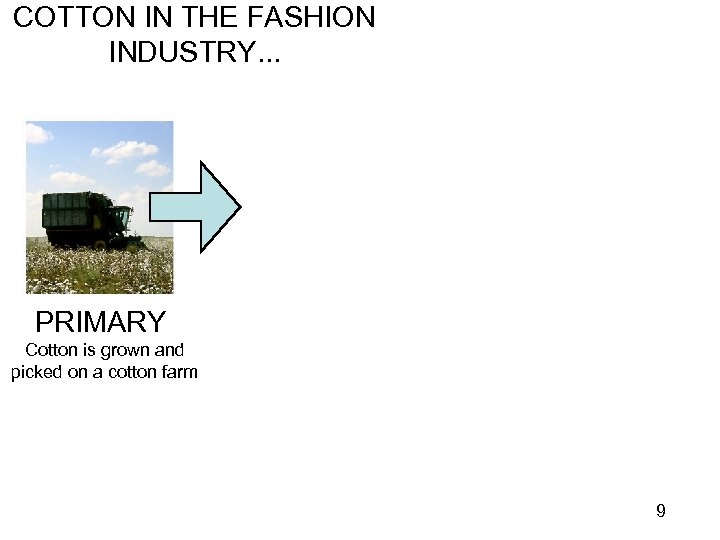 COTTON IN THE FASHION INDUSTRY. . . PRIMARY Cotton is grown and picked on