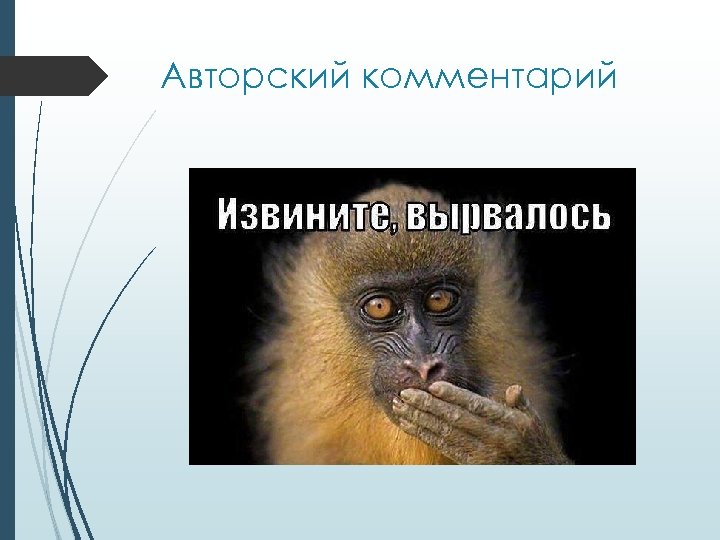 Авторский комментарий 