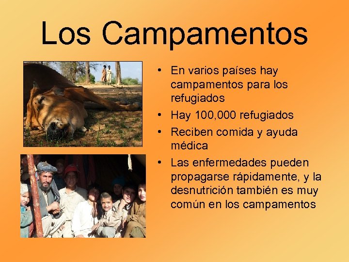 Los Campamentos • En varios países hay campamentos para los refugiados • Hay 100,