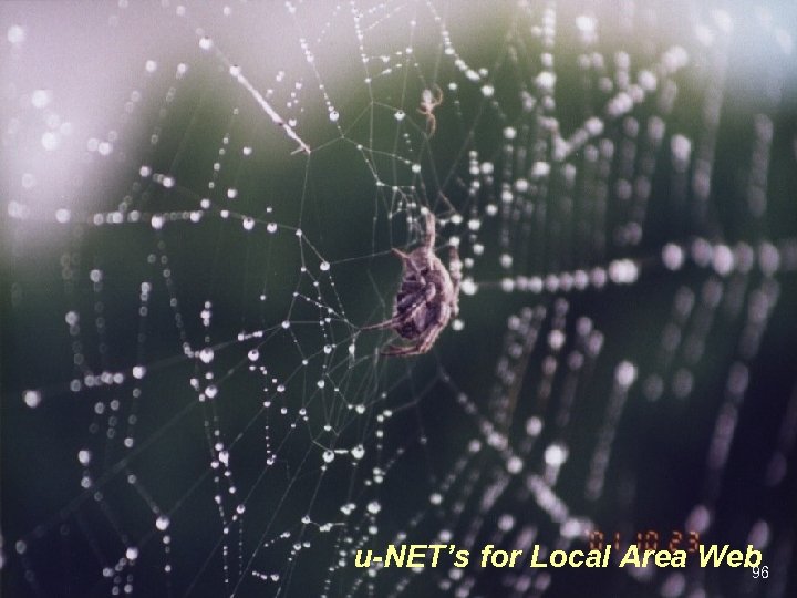 u-NET’s for Local Area Web 96 