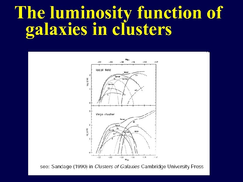 The luminosity function of galaxies in clusters 
