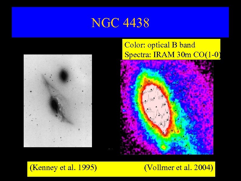NGC 4438 Color: optical B band Spectra: IRAM 30 m CO(1 -0) (Kenney et