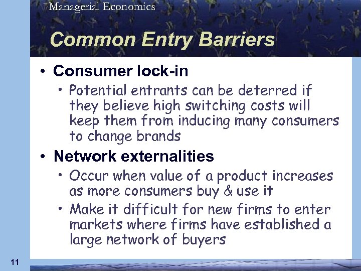 Managerial Economics Common Entry Barriers • Consumer lock-in • Potential entrants can be deterred