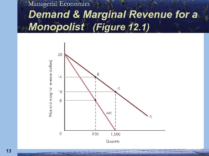 Managerial Economics Demand & Marginal Revenue for a Monopolist (Figure 12. 1) 13 