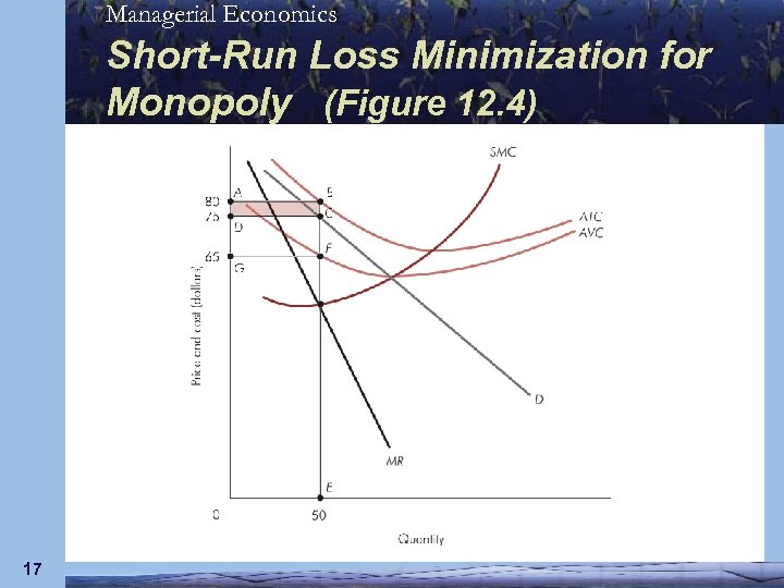 Managerial Economics Short-Run Loss Minimization for Monopoly (Figure 12. 4) 17 