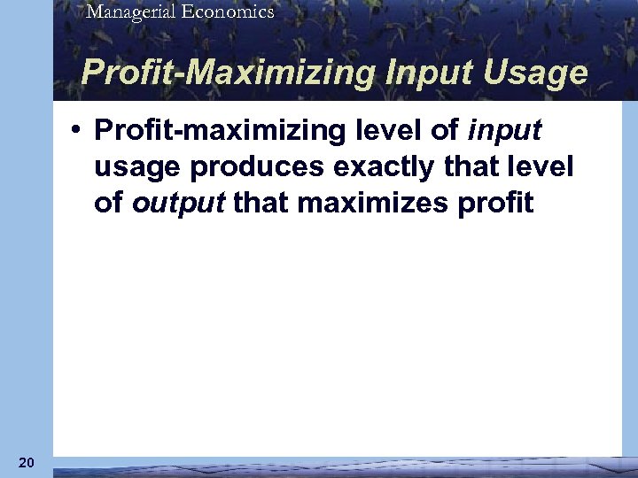 Managerial Economics Profit-Maximizing Input Usage • Profit-maximizing level of input usage produces exactly that