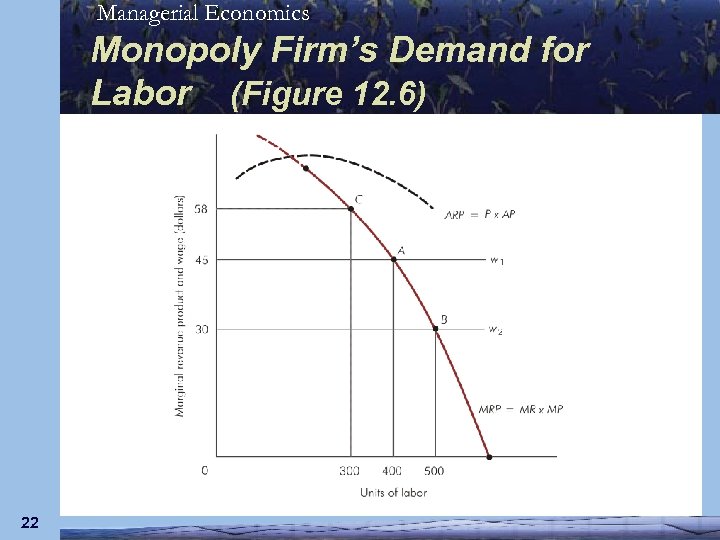 Managerial Economics Monopoly Firm’s Demand for Labor (Figure 12. 6) 22 