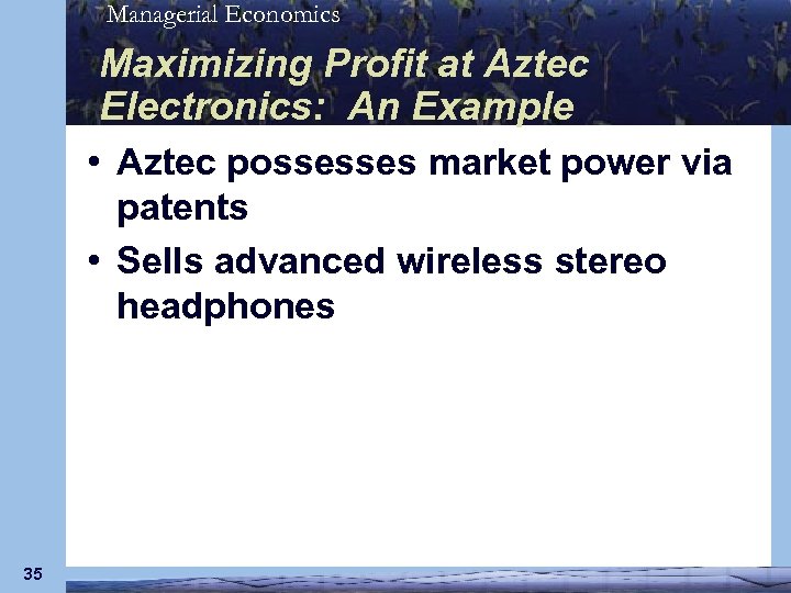 Managerial Economics Maximizing Profit at Aztec Electronics: An Example • Aztec possesses market power