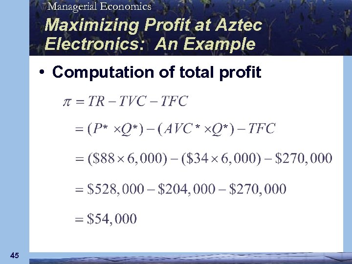 Managerial Economics Maximizing Profit at Aztec Electronics: An Example • Computation of total profit