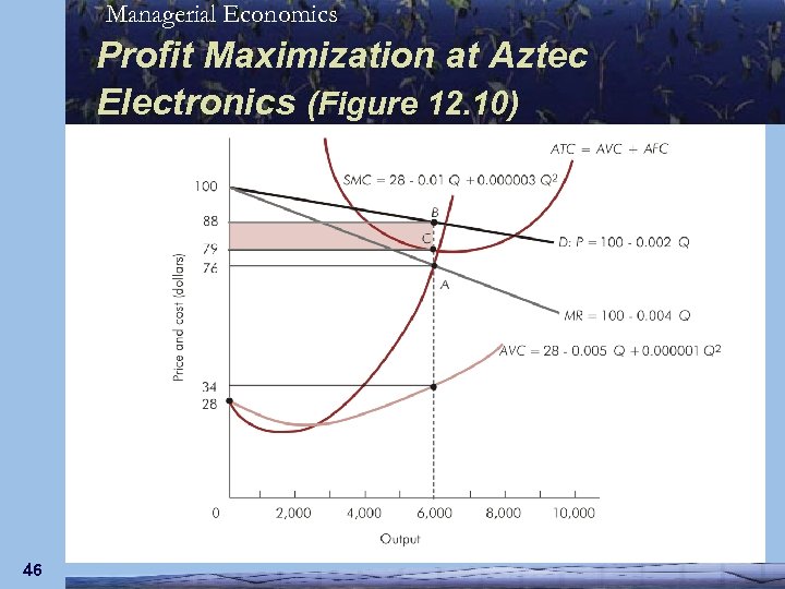 Managerial Economics Profit Maximization at Aztec Electronics (Figure 12. 10) 46 