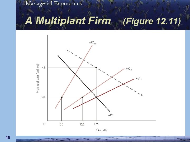 Managerial Economics A Multiplant Firm 48 (Figure 12. 11) 