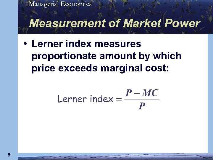 Managerial Economics Measurement of Market Power • Lerner index measures proportionate amount by which