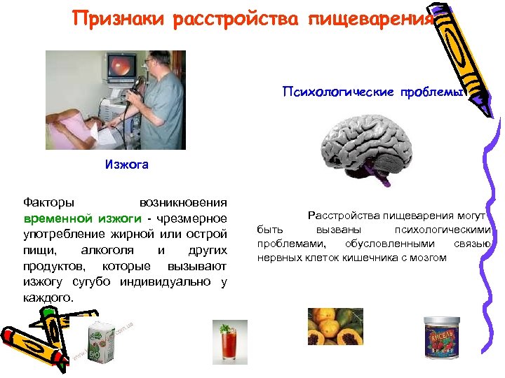 Признаки расстройства пищеварения Психологические проблемы Изжога Факторы возникновения временной изжоги - чрезмерное употребление жирной