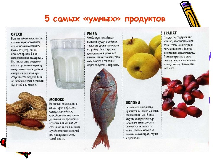 5 самых «умных» продуктов 