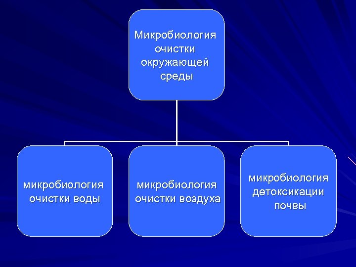 Микробиология очистки окружающей среды микробиология очистки воздуха микробиология детоксикации почвы 