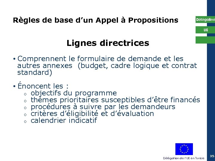Règles de base d’un Appel à Propositions Délégation UE Lignes directrices • Comprennent le