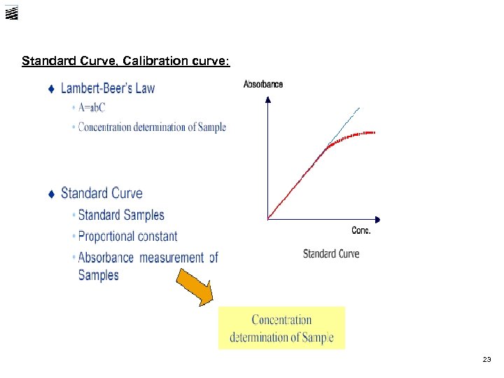 Standard Curve, Calibration curve: 23 