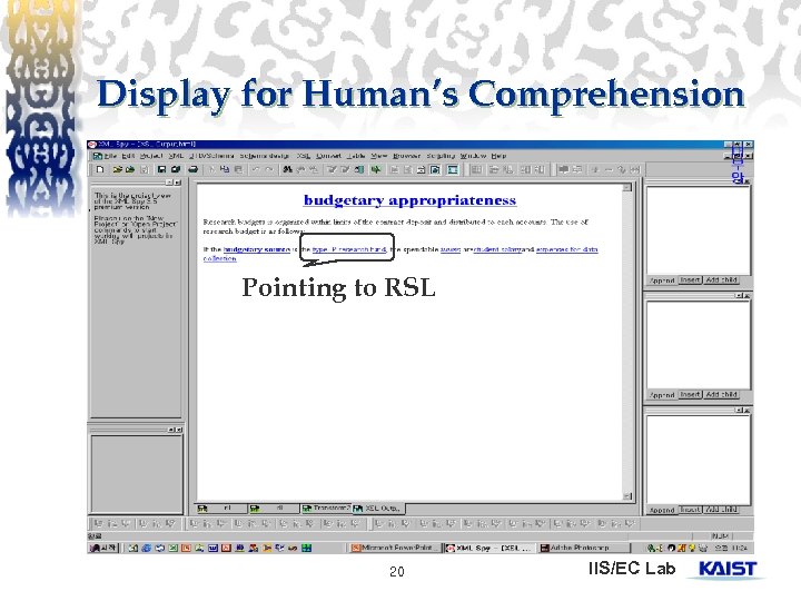 Display for Human’s Comprehension. Pointing to RSL 20 IIS/EC Lab 