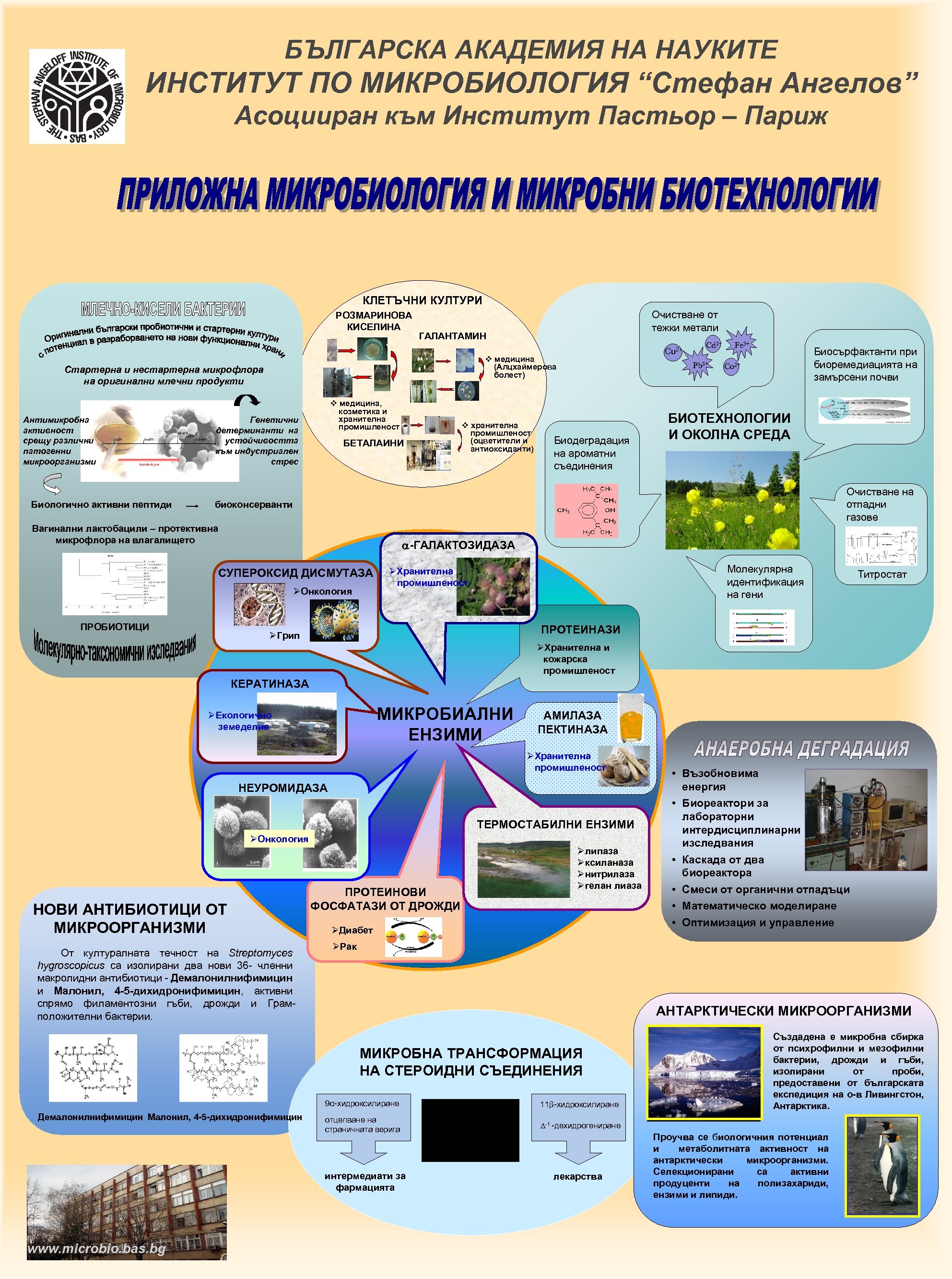 БЪЛГАРСКА АКАДЕМИЯ НА НАУКИТЕ ИНСТИТУТ ПО МИКРОБИОЛОГИЯ “Стефан Ангелов” Асоцииран към Институт Пастьор –