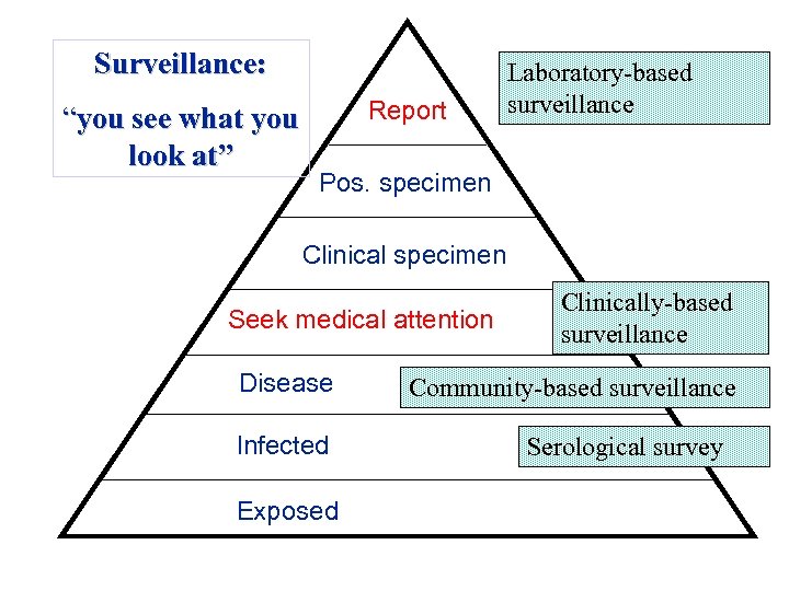 Surveillance: “you see what you look at” Report Laboratory-based surveillance Pos. specimen Clinical specimen