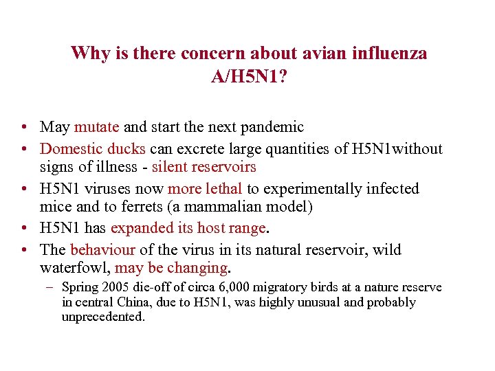 Why is there concern about avian influenza A/H 5 N 1? • May mutate