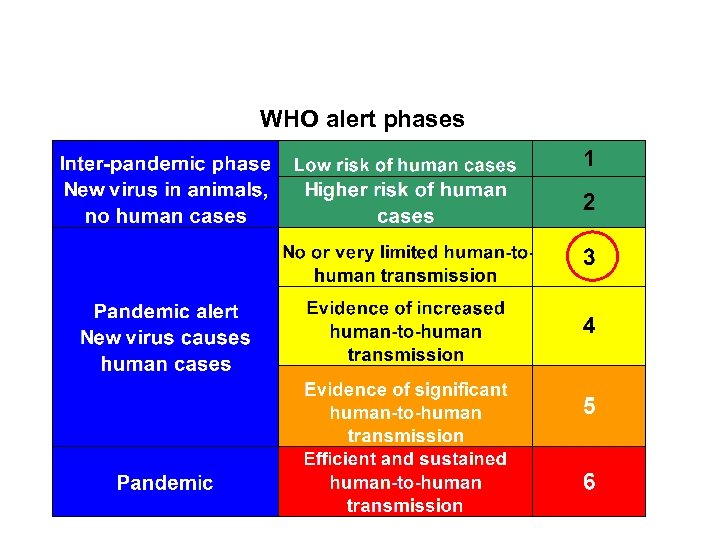WHO alert phases 