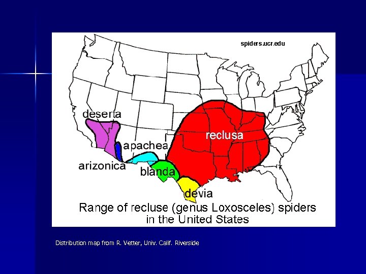 Distribution map from R. Vetter, Univ. Calif. Riverside 