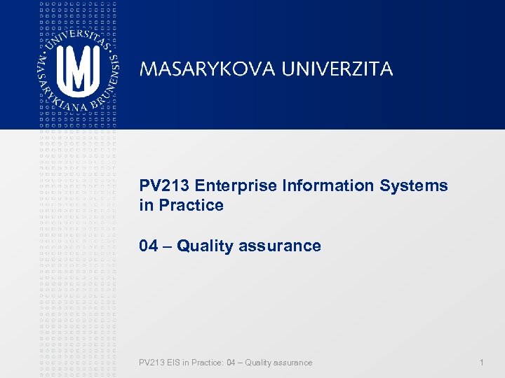 PV 213 Enterprise Information Systems in Practice 04 – Quality assurance PV 213 EIS