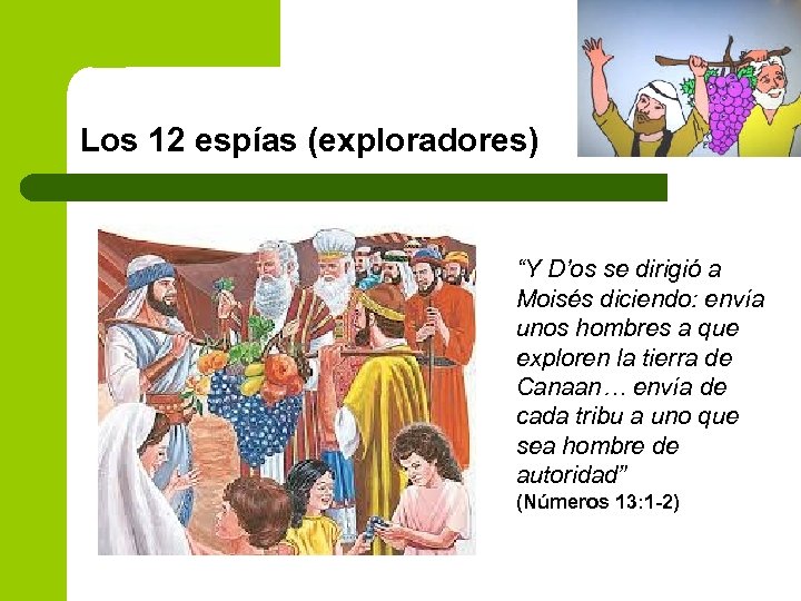 Los 12 espías (exploradores) “Y D’os se dirigió a Moisés diciendo: envía unos hombres