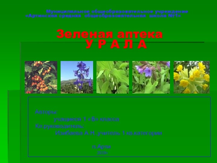 Муниципальное общеобразовательное учреждение «Артинская средняя общеобразовательная школа № 1» Зеленая аптека УРАЛА Авторы: учащиеся