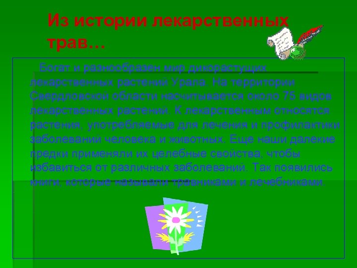 Из истории лекарственных трав… Богат и разнообразен мир дикорастущих лекарственных растений Урала. На территории