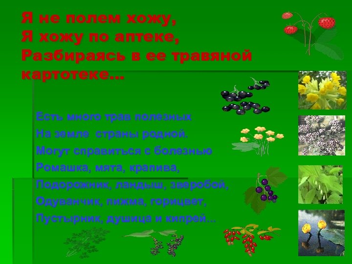 Я не полем хожу, Я хожу по аптеке, Разбираясь в ее травяной картотеке… Есть