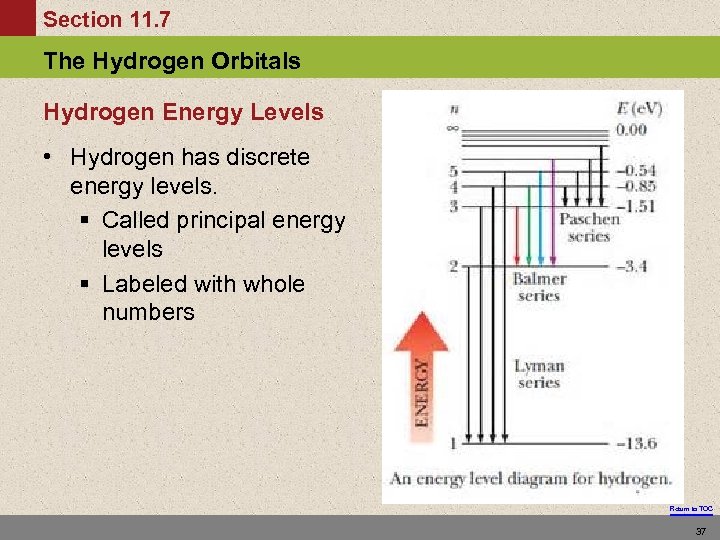 Section 11. 7 The Hydrogen Orbitals Hydrogen Energy Levels • Hydrogen has discrete energy