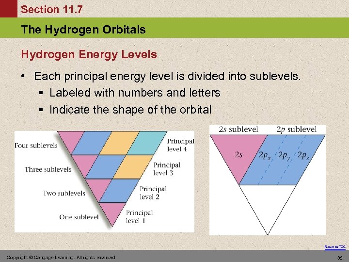 Section 11. 7 The Hydrogen Orbitals Hydrogen Energy Levels • Each principal energy level