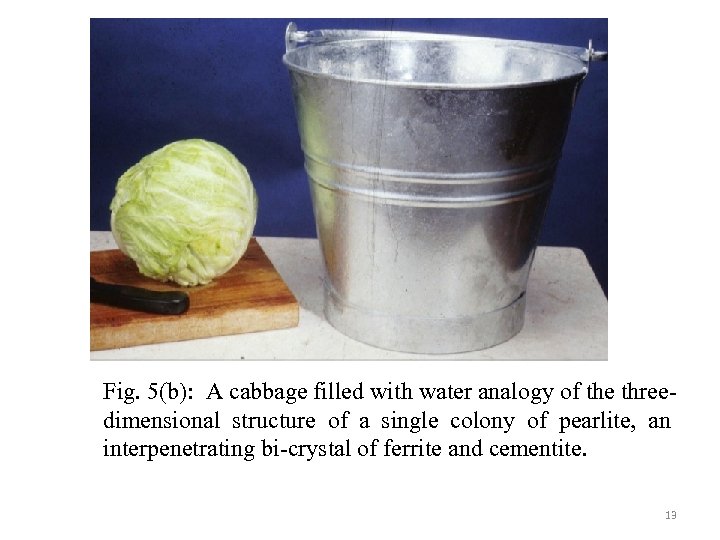Fig. 5(b): A cabbage filled with water analogy of the threedimensional structure of a