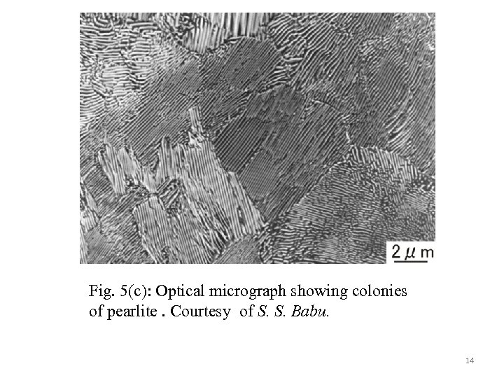 Fig. 5(c): Optical micrograph showing colonies of pearlite. Courtesy of S. S. Babu. 14