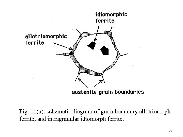 Fig. 11(a): schematic diagram of grain boundary allotriomoph ferrite, and intragranular idiomorph ferrite. 29