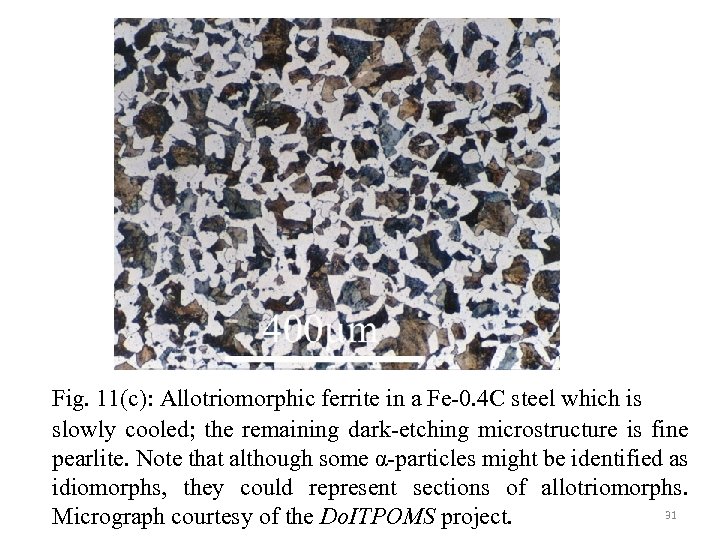 Fig. 11(c): Allotriomorphic ferrite in a Fe-0. 4 C steel which is slowly cooled;