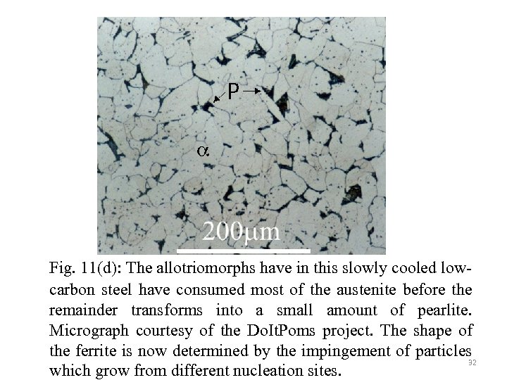 Fig. 11(d): The allotriomorphs have in this slowly cooled lowcarbon steel have consumed most