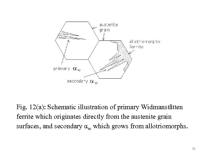 Fig. 12(a): Schematic illustration of primary Widmanstätten ferrite which originates directly from the austenite