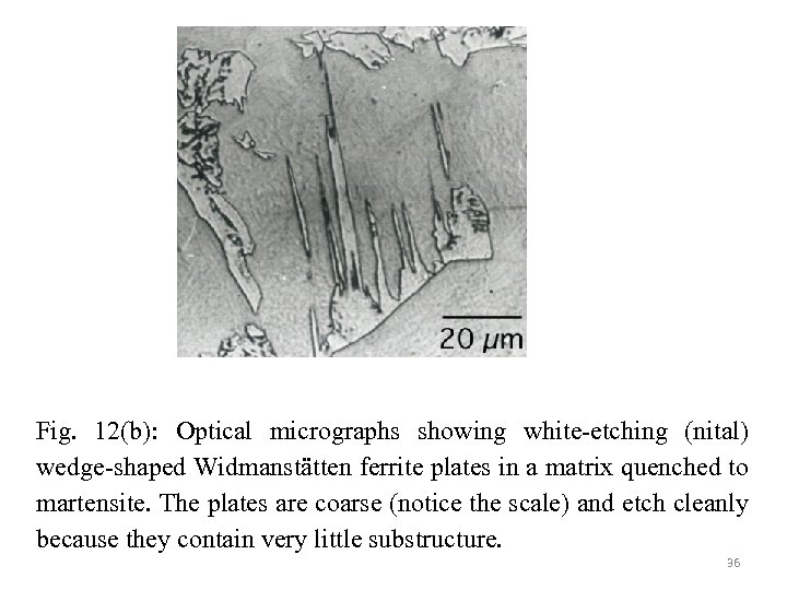 Fig. 12(b): Optical micrographs showing white-etching (nital) wedge-shaped Widmanstätten ferrite plates in a matrix
