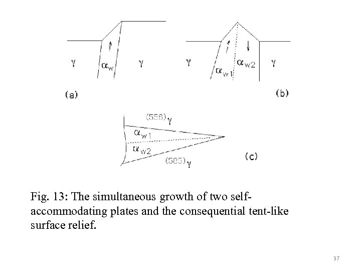 Fig. 13: The simultaneous growth of two selfaccommodating plates and the consequential tent-like surface