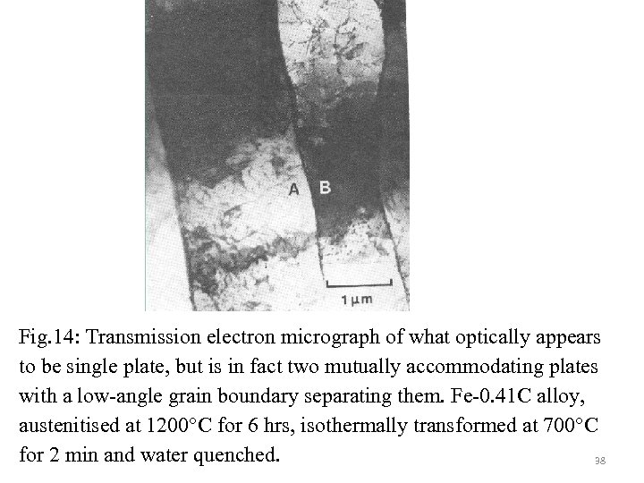 Fig. 14: Transmission electron micrograph of what optically appears to be single plate, but