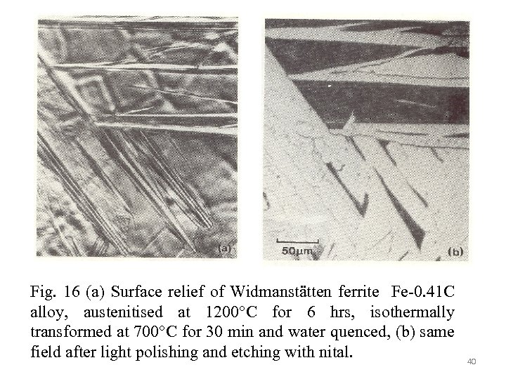 Fig. 16 (a) Surface relief of Widmanstätten ferrite Fe-0. 41 C alloy, austenitised at