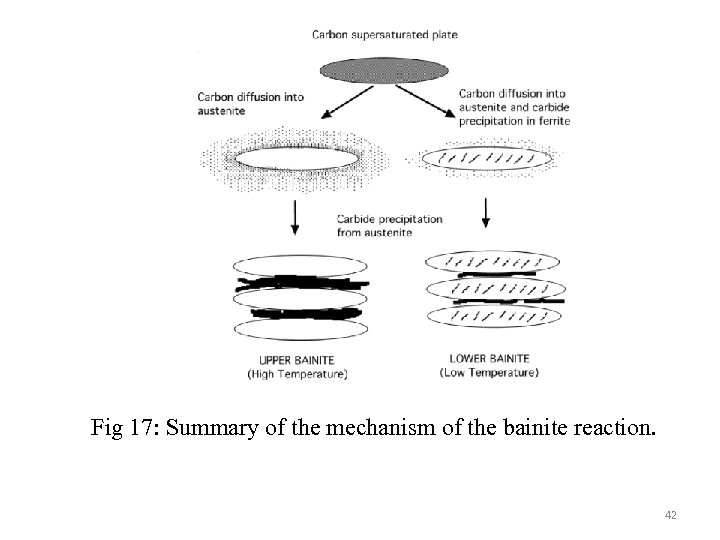 Fig 17: Summary of the mechanism of the bainite reaction. 42 