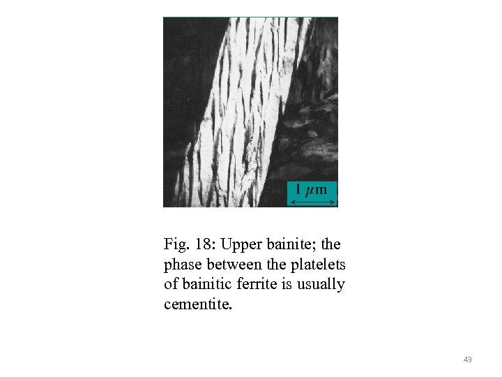 Fig. 18: Upper bainite; the phase between the platelets of bainitic ferrite is usually