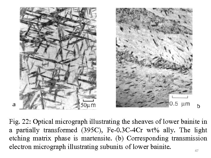 a b Fig. 22: Optical micrograph illustrating the sheaves of lower bainite in a